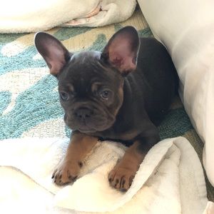 Meet your Posher, Kiara